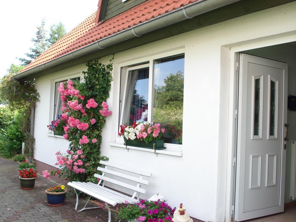 Vermietung Wenzel Apartment *