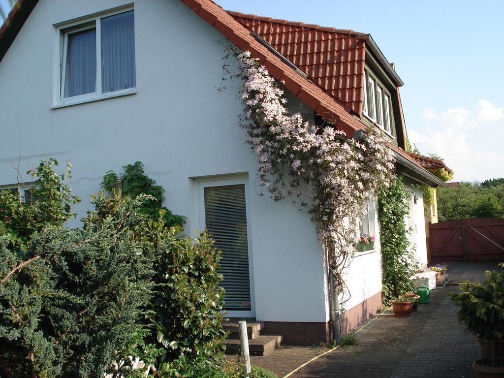 Vermietung Wenzel Apartment *